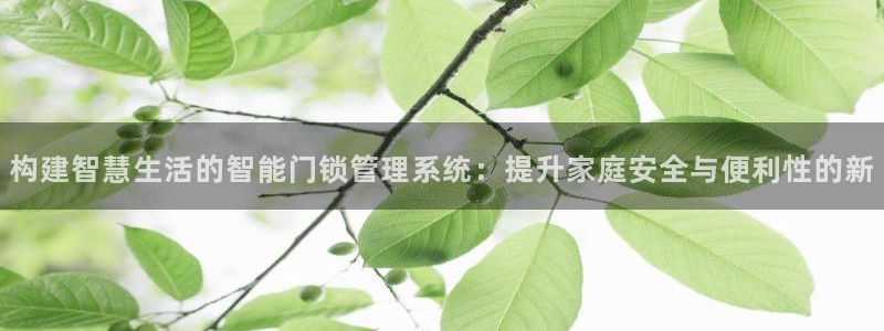 富联娱乐找37997筘：构建智慧生活的智能门锁管理系统：提升