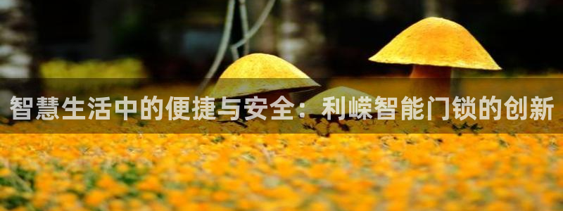 富联娱乐山67五壹叁八：智慧生活中的便捷与安全：利嵘智能门锁