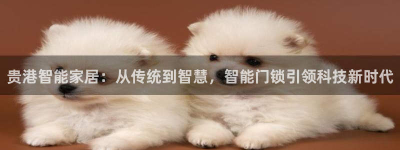 富联娱乐服务站：贵港智能家居：从传统到智慧，智能门锁引领科技