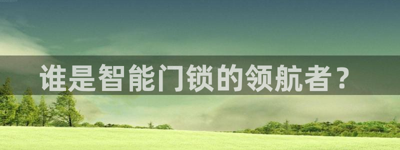 富联娱乐主管是谁啊老板：谁是智能门锁的领航者？