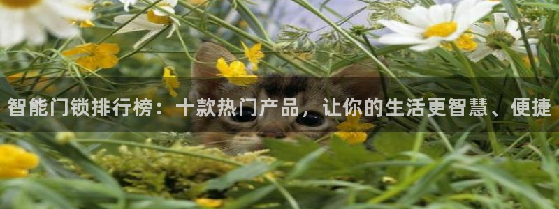富联娱乐客户端登录不上：智能门锁排行榜：十款热门产品，让你的