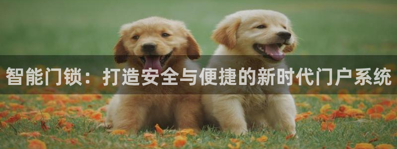 富联娱乐官网首页：智能门锁：打造安全与便捷的新时代门户系统