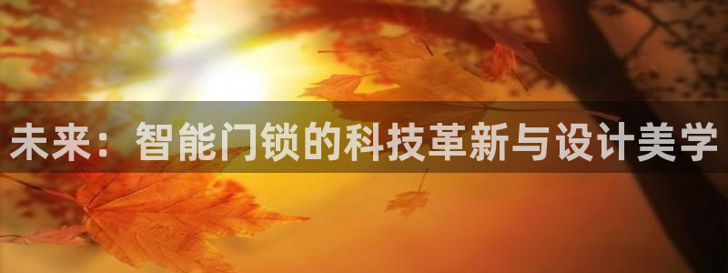 富联娱乐章7O777：未来：智能门锁的科技革新与设计美学