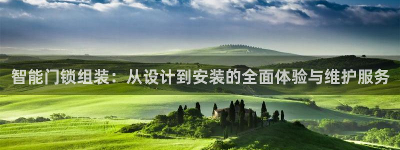 富联娱乐成拔7276O：智能门锁组装：从设计到安装的全面体验