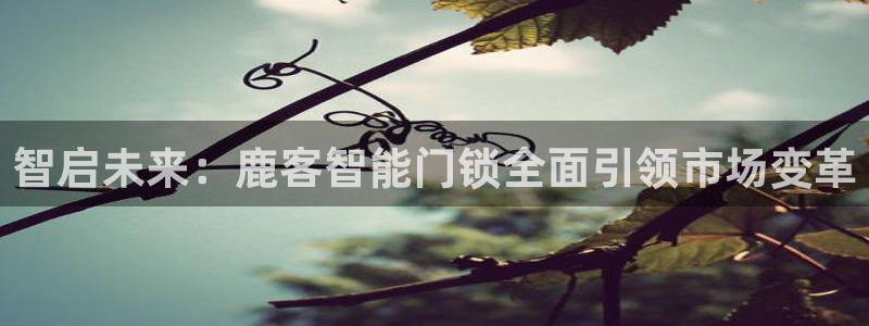 富联娱乐官方网站下载安装：智启未来：鹿客智能门锁全面引领市场