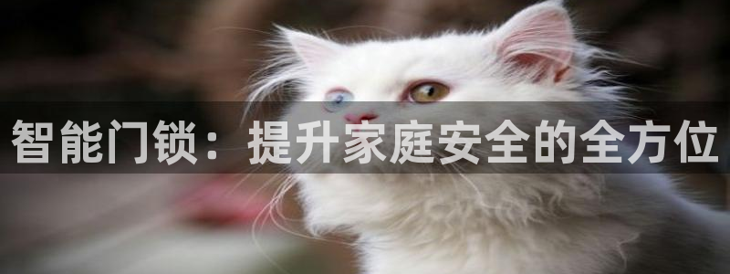 富联娱乐首页登录不了：智能门锁：提升家庭安全的全方位