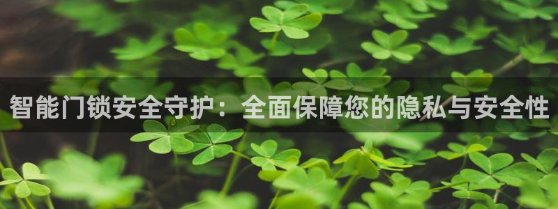 富联娱乐平台招商电话：智能门锁安全守护：全面保障您的隐私与安