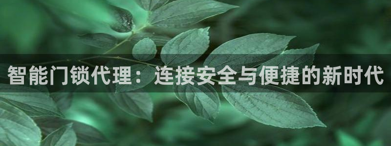 富联娱乐招商形判官333OO：智能门锁代理：连接安全与便捷的