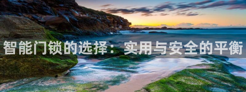 富联娱乐招商着判官333OO：智能门锁的选择：实用与安全的平