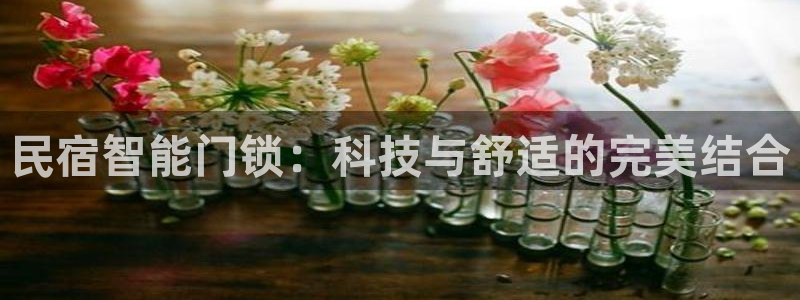 富联娱乐骗局：民宿智能门锁：科技与舒适的完美结合