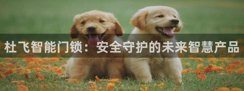 广州联富大厦鼎盛娱乐：杜飞智能门锁：安全守护的未来智慧产品