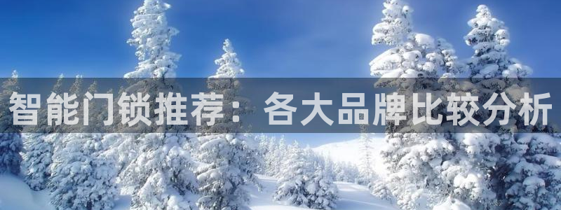 富联娱乐主管右原判官333OO：智能门锁推荐：各大品牌比较分