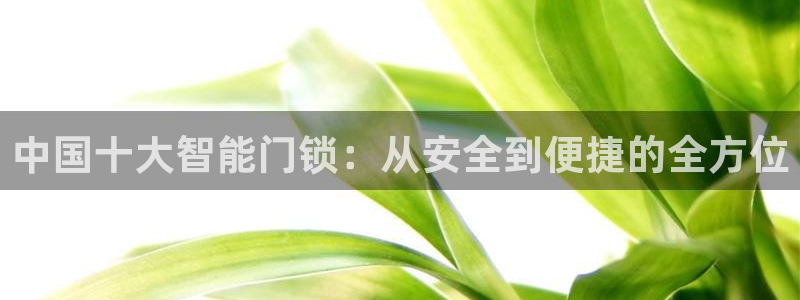富联娱乐app官方下载苹果版：中国十大智能门锁：从安全到便捷