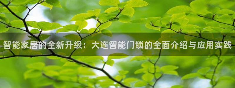 富联娱乐于67五壹叁八：智能家居的全新升级：大连智能门锁的全
