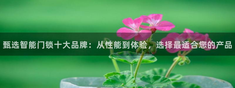 富联娱乐注册计判官333OO：甄选智能门锁十大品牌：从性能到