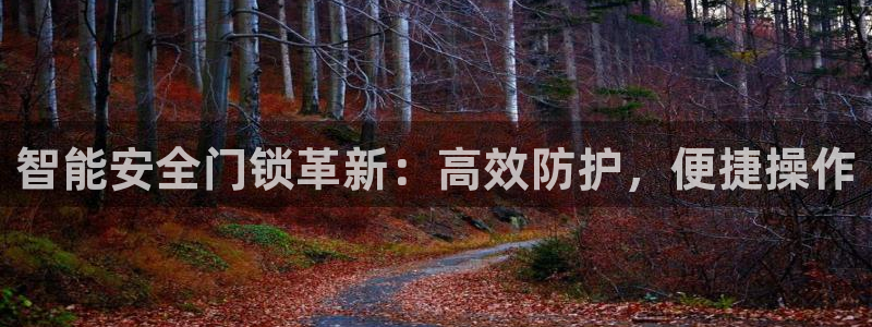 富联娱乐主管是谁呀图片：智能安全门锁革新：高效防护，便捷操作