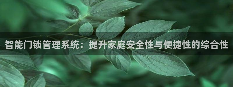 富联娱乐贴吧网站首页：智能门锁管理系统：提升家庭安全性与便捷