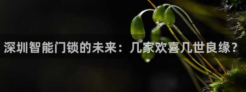 富联娱乐注册登录：深圳智能门锁的未来：几家欢喜几世良缘？