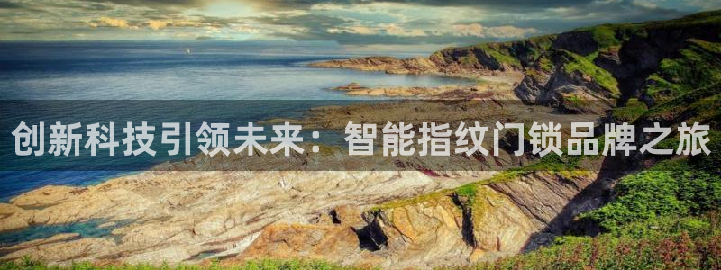 富联娱乐21192：创新科技引领未来：智能指纹门锁品牌之旅