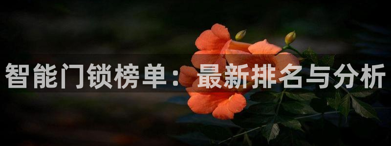 富联娱乐与六七五一38：智能门锁榜单：最新排名与分析