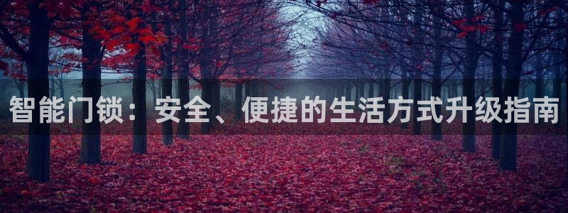 富联娱乐客户端下载不了：智能门锁：安全、便捷的生活方式升级指