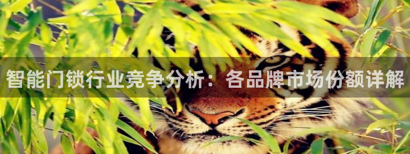 富联娱乐主营业务：智能门锁行业竞争分析：各品牌市场份额详解