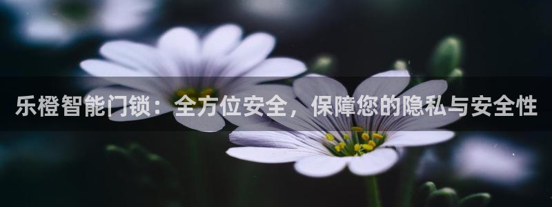 富联2娱乐查判官333OO