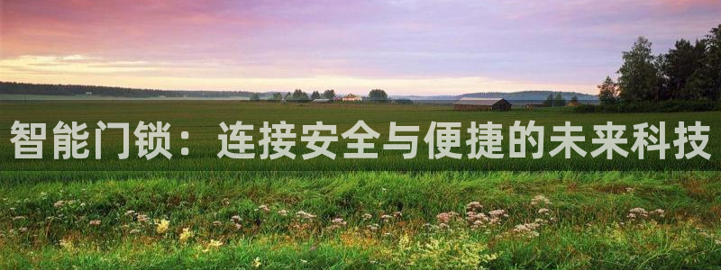 富联娱乐在线网站登录：智能门锁：连接安全与便捷的未来科技