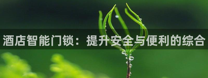 富联娱乐注册目判官333OO：酒店智能门锁：提升安全与便利的