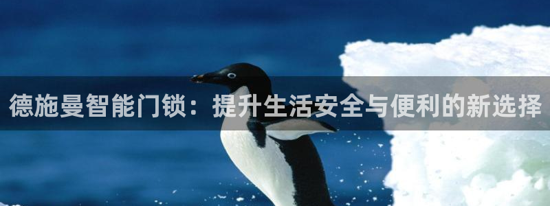 富联娱乐下载免费版app：德施曼智能门锁：提升生活安全与便利