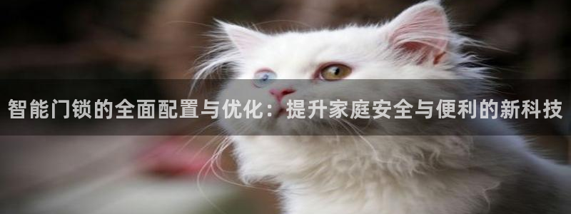富联娱乐测速地址是什么：智能门锁的全面配置与优化：提升家庭安