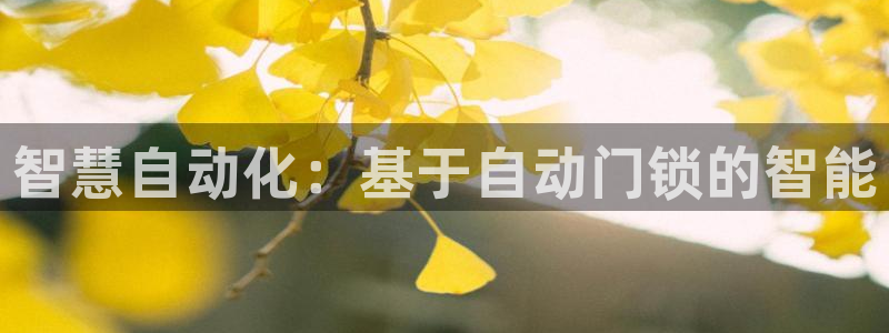 富联娱乐正规吗安全吗：智慧自动化：基于自动门锁的智能