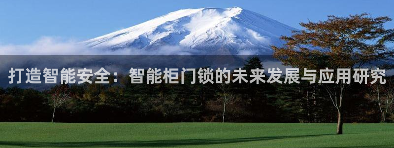 富联娱乐服务站电话：打造智能安全：智能柜门锁的未来发展与应用