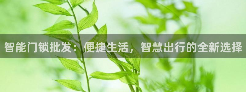 富联娱乐主管是谁啊图片：智能门锁批发：便捷生活，智慧出行的全