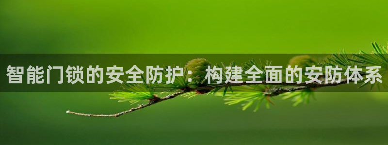 富联娱乐版权所有权归属：智能门锁的安全防护：构建全面的安防体