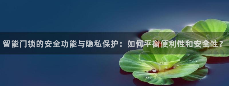 富联娱乐下载：智能门锁的安全功能与隐私保护：如何平衡便利性和