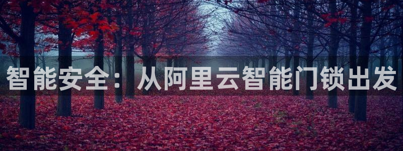 富联娱乐注册：智能安全：从阿里云智能门锁出发