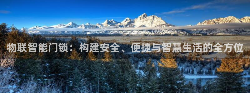富联娱乐若七九九：物联智能门锁：构建安全、便捷与智慧生活的全