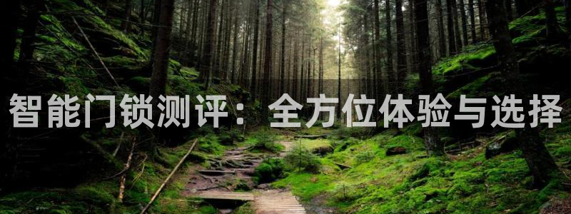 富联娱乐平台能挣到钱吗：智能门锁测评：全方位体验与选择
