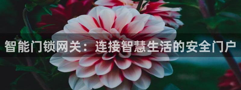 富联娱乐开户费用：智能门锁网关：连接智慧生活的安全门户