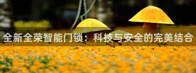 富联娱乐招商分听判官333OO：全新全荣智能门锁：科技与安全