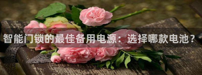 富联2娱乐元哥微博号：智能门锁的最佳备用电源：选择哪款电池？