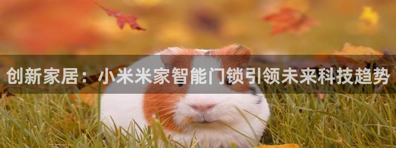 富联娱乐元哥53551：创新家居：小米米家智能门锁引领未来科