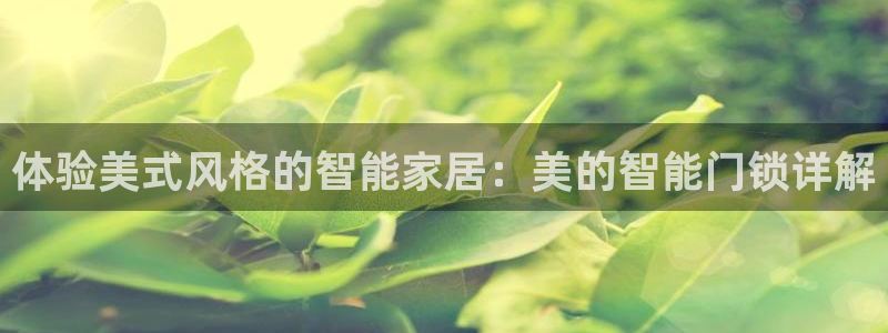 富联娱乐技术研发实力：体验美式风格的智能家居：美的智能门锁详