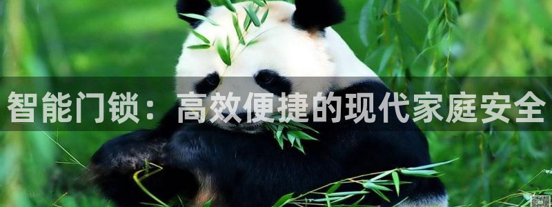 龙华富联新村娱乐：智能门锁：高效便捷的现代家庭安全