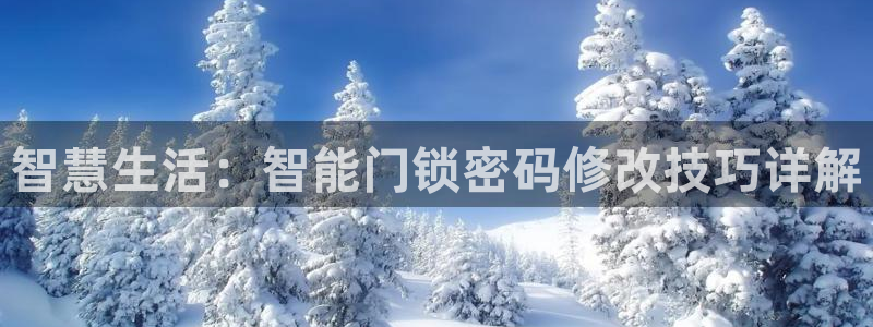富联娱乐21192：智慧生活：智能门锁密码修改技巧详解