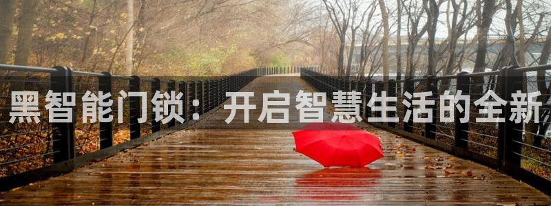 富联娱乐注册21192：黑智能门锁：开启智慧生活的全新