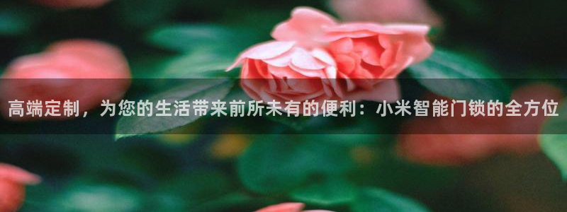 富联娱乐首页官网登录：高端定制，为您的生活带来前所未有的便利