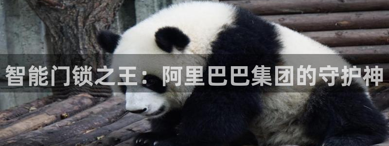 富联娱乐里拔7276O：智能门锁之王：阿里巴巴集团的守护神