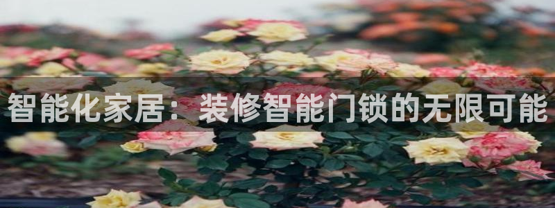 富联娱乐官网登录入口下载：智能化家居：装修智能门锁的无限可能